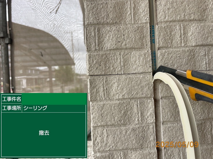 古いシール撤去
