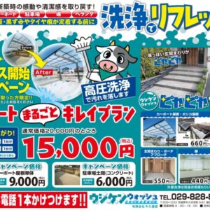 1.9 チラシ　新サービス開始キャンペーン！！